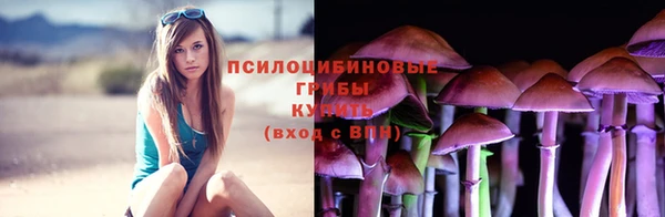 ALPHA PVP Беломорск
