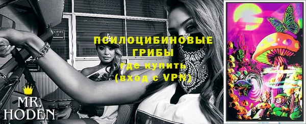 прущий лед Белокуриха