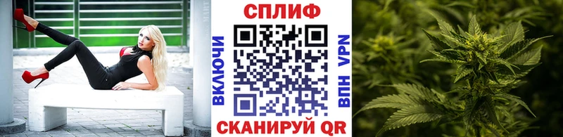 Каннабис сатива  Зеленогорск 